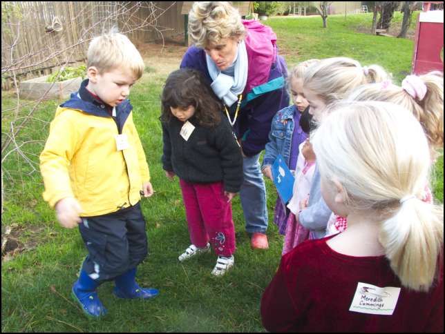 Looking at a mushroom