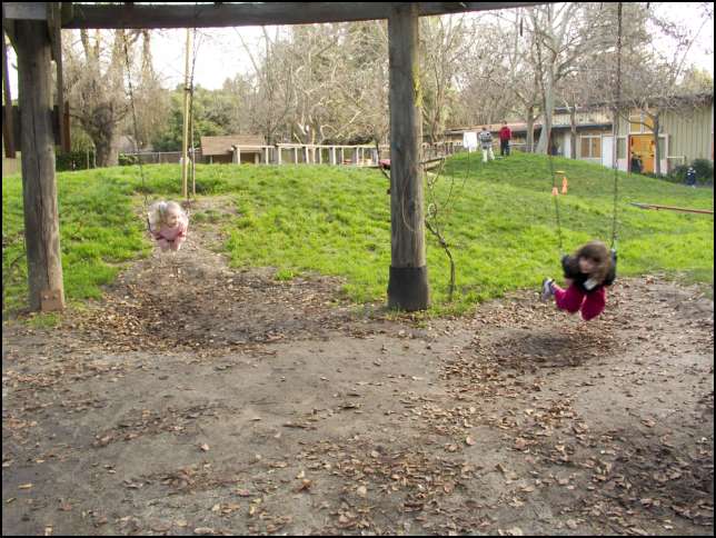 swinging