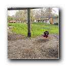 [Click to enlarge image]