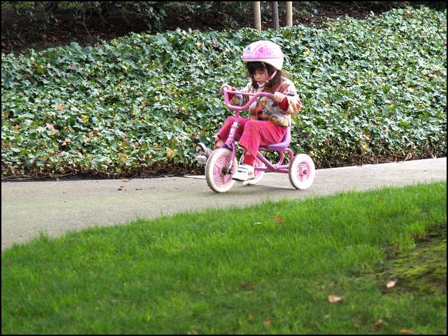 Go Sydney Go!