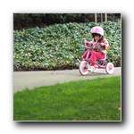 [Click to enlarge image]