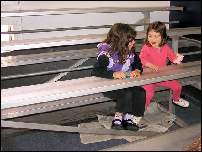 waiting for the gymnastics to start