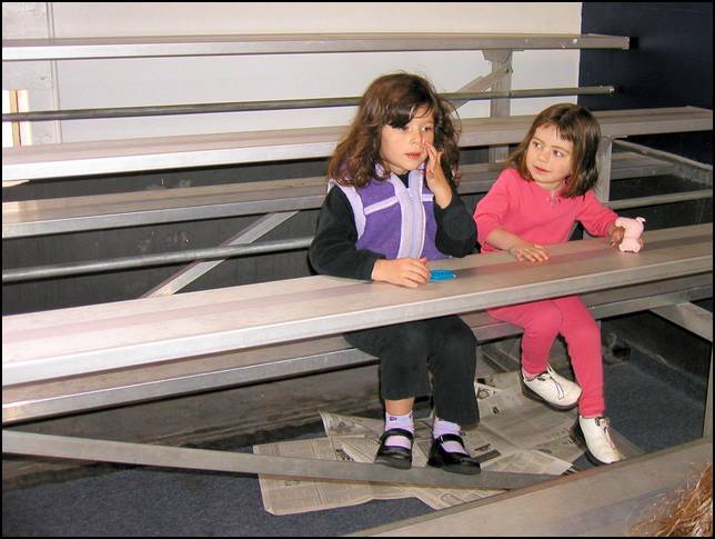 waiting for the gymnastics to start