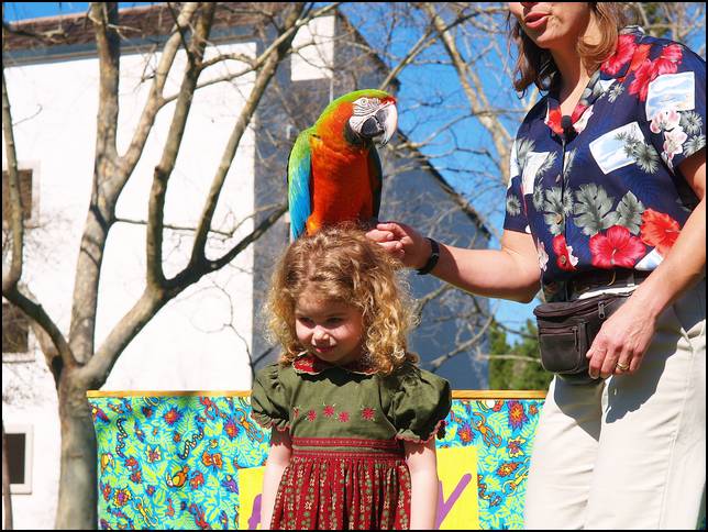 The bird is thinking that Ava's hair would make a good nest