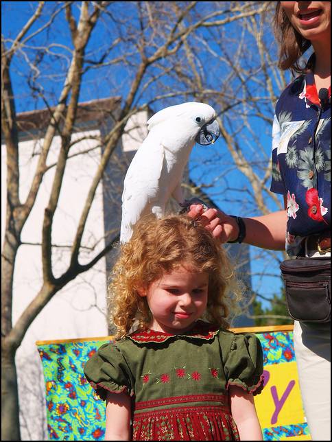 What neat hair to build a nest in!