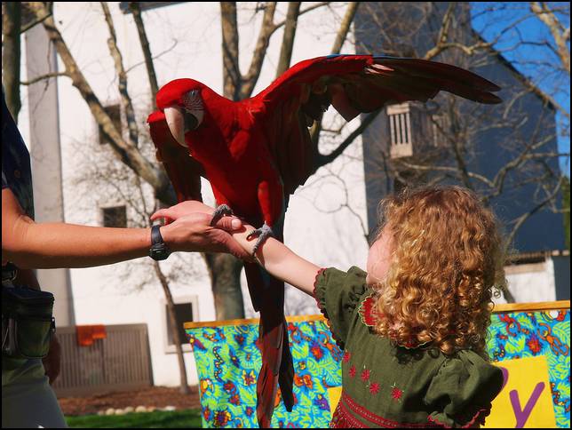 Wow, what a colorful McCaw