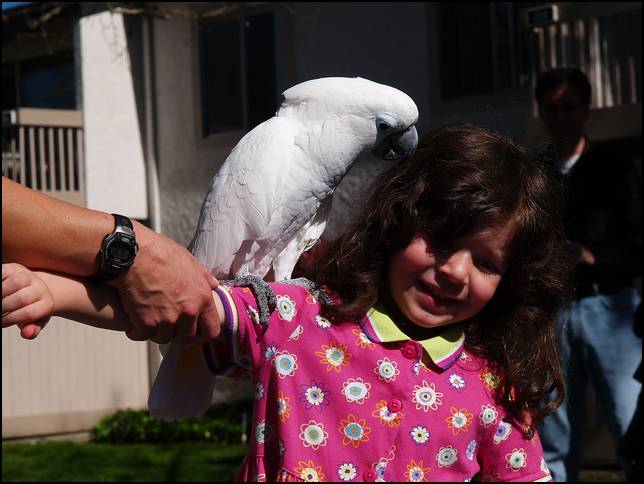 I don't know about this kissing stuff!