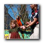 [Click to enlarge image]