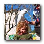 [Click to enlarge image]