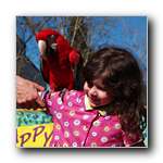 [Click to enlarge image]