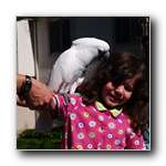 [Click to enlarge image]