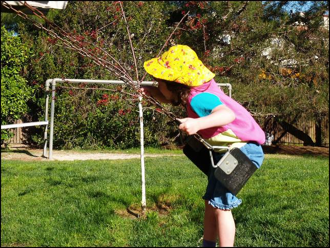 The swing is one of Sydney's favorite activities