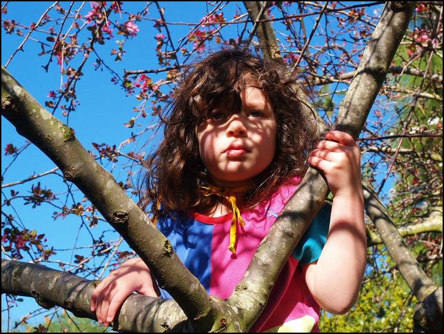 Climbing trees is another favorite activity