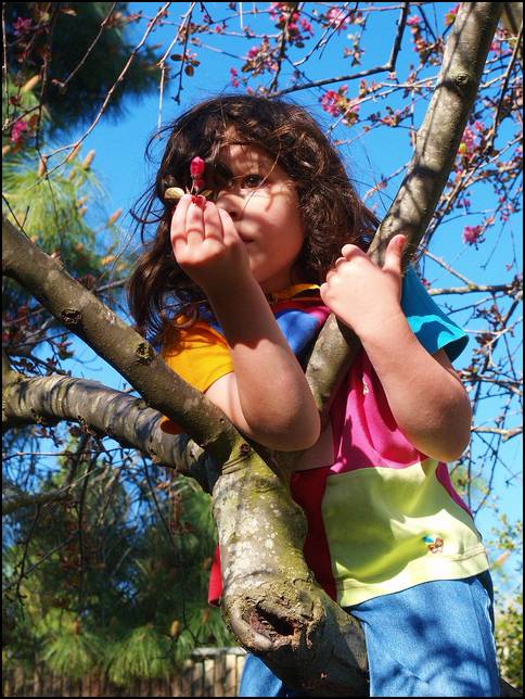 Look at this pretty Spring blossom