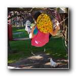 [Click to enlarge image]