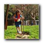 [Click to enlarge image]