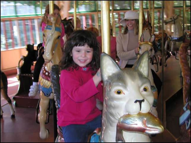 Here I am on a cat
