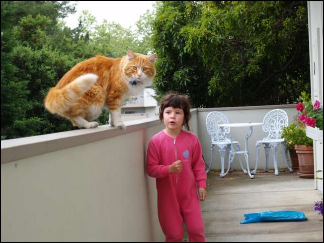 Max say's-- 