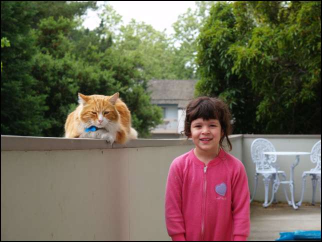 Max is my friend