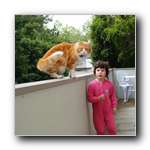 [Click to enlarge image]