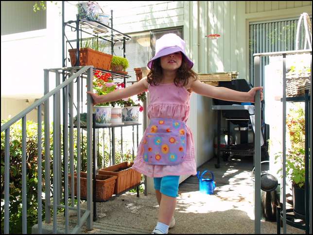 I've planted the four plants and two planter boxes with seeds