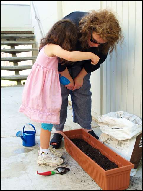 Dropping the seeds on top of the dirt