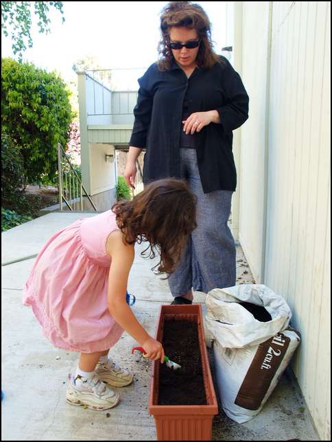 Covering up the seeds with a layer of dirt