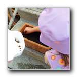 [Click to enlarge image]