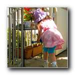 [Click to enlarge image]