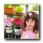 [Click to enlarge image]