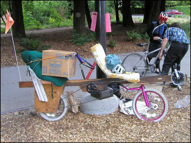 Home made tandem out of wood!
