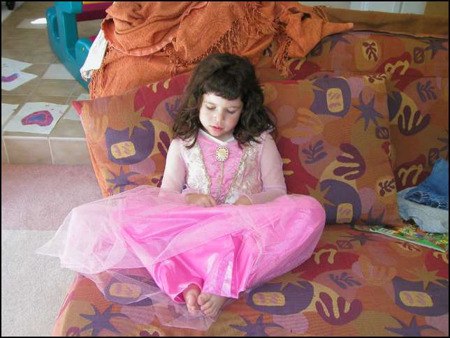 Sydney as a reflective princes Aurora