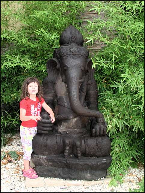 Wow, an elephant like at the circus!