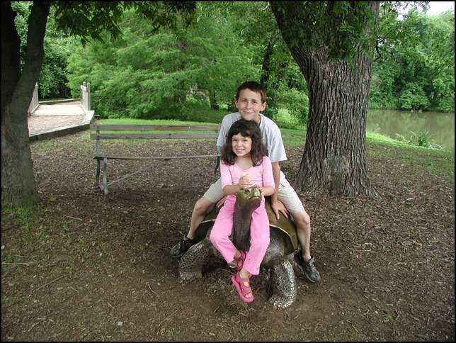 We're riding a turtle