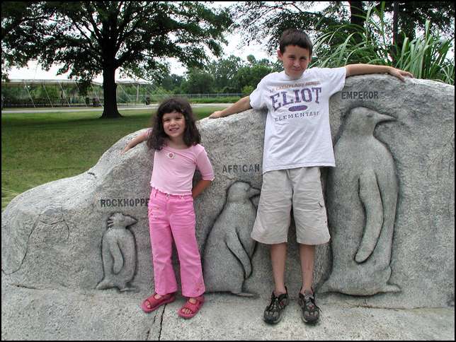 Boy, an emperor penguin is almost as big as me!