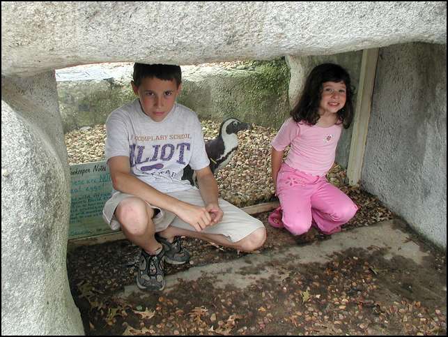 the penguins!!!!