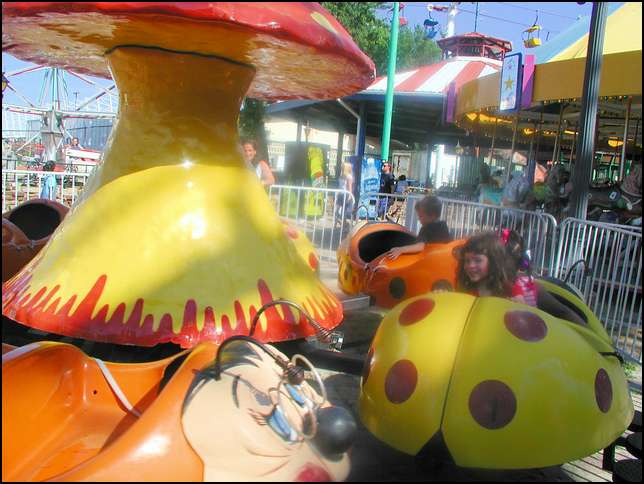 Riding the wild lady bug!