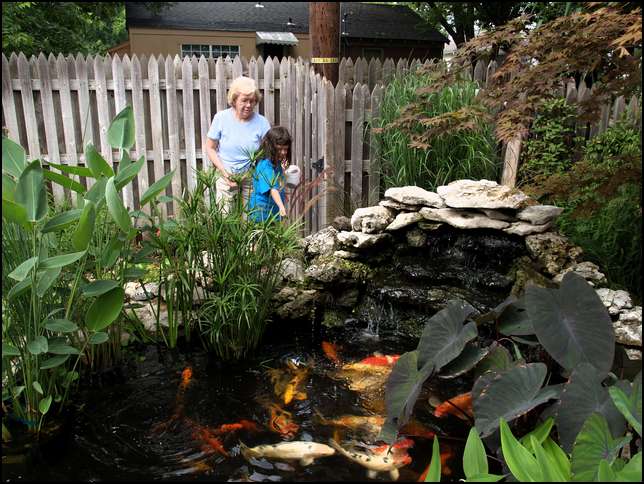 What a pretty fish pond