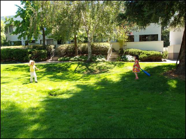 Ava is pitching to Sydney