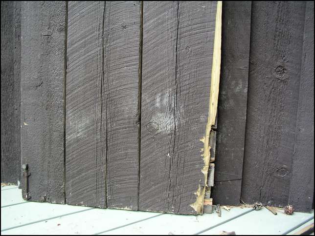 The bear worked away at the corner of the door