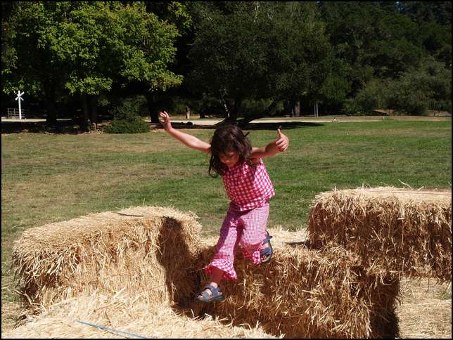 Down off the hay bale wall
