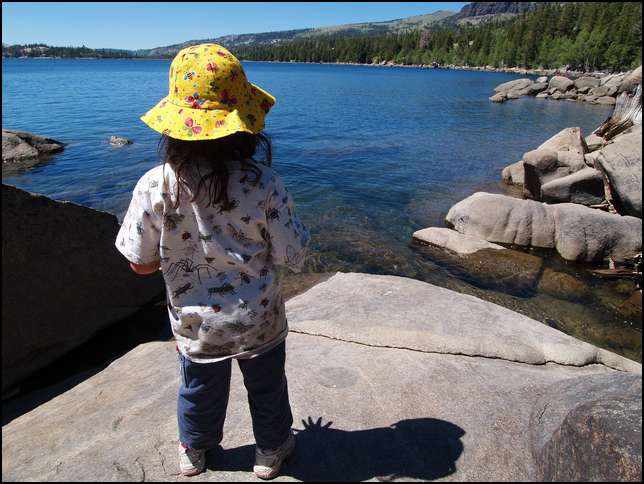 A great place to throw rocks into the lake