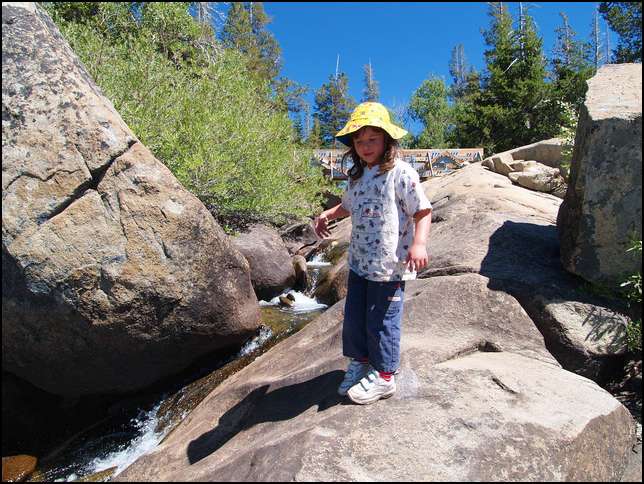 And also throwing rocks into the creek