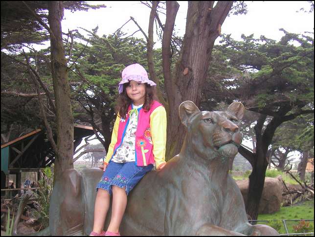 A lion is a big cat!