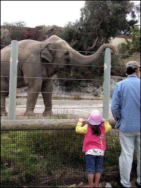 Wow what a long trunk