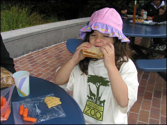 Traditional lunch spot next to the flamingos