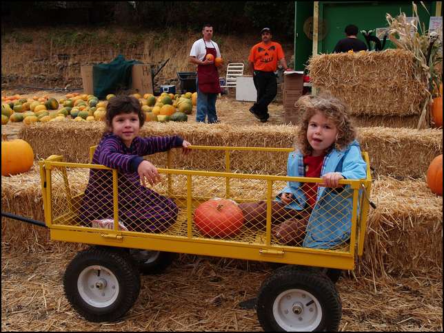 Time to start collecting pumpkins