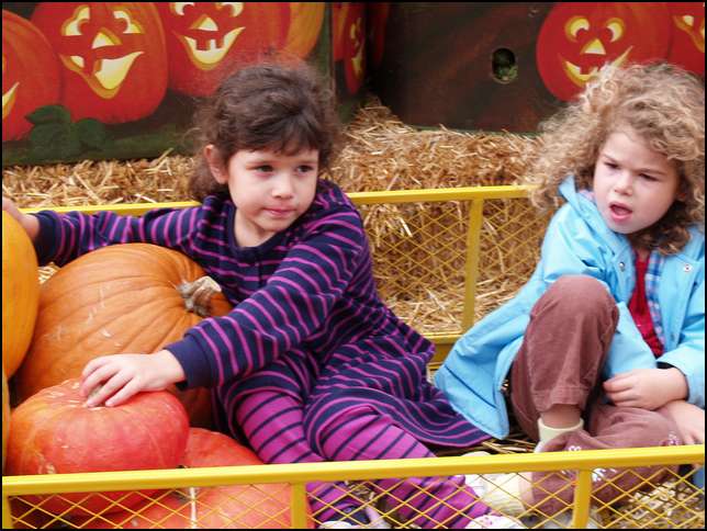 Wheew, it's been a tough day at the pumpkin patch