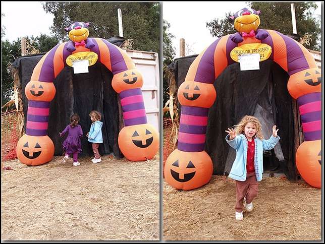 The spooky house is fun!