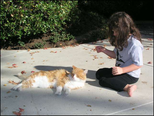 There's always time to pet Max!